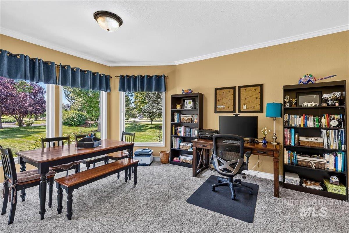Spacious room featuring multiple large windows, soft carpet flooring, and crown molding