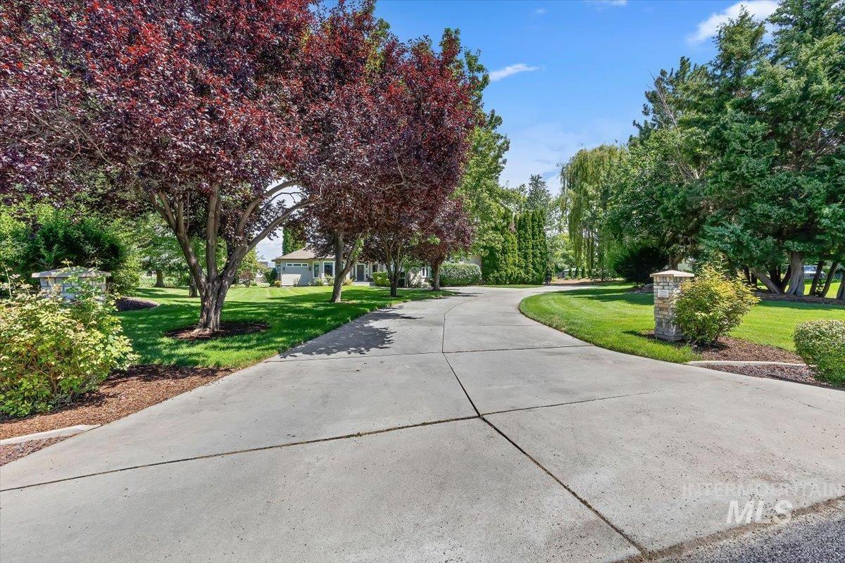 Paved driveway with a gentle curve, bordered by mature trees and manicured lawns