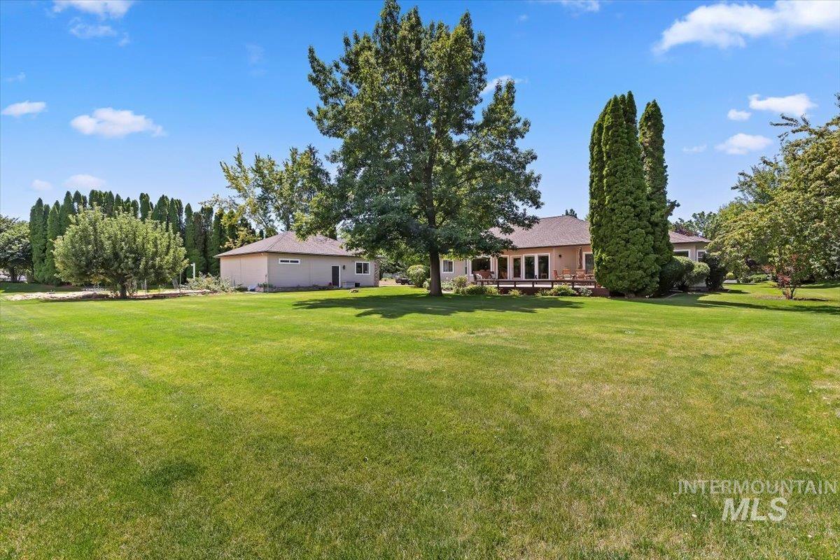 Expansive rear lawn with mature trees and a dedicated outbuilding