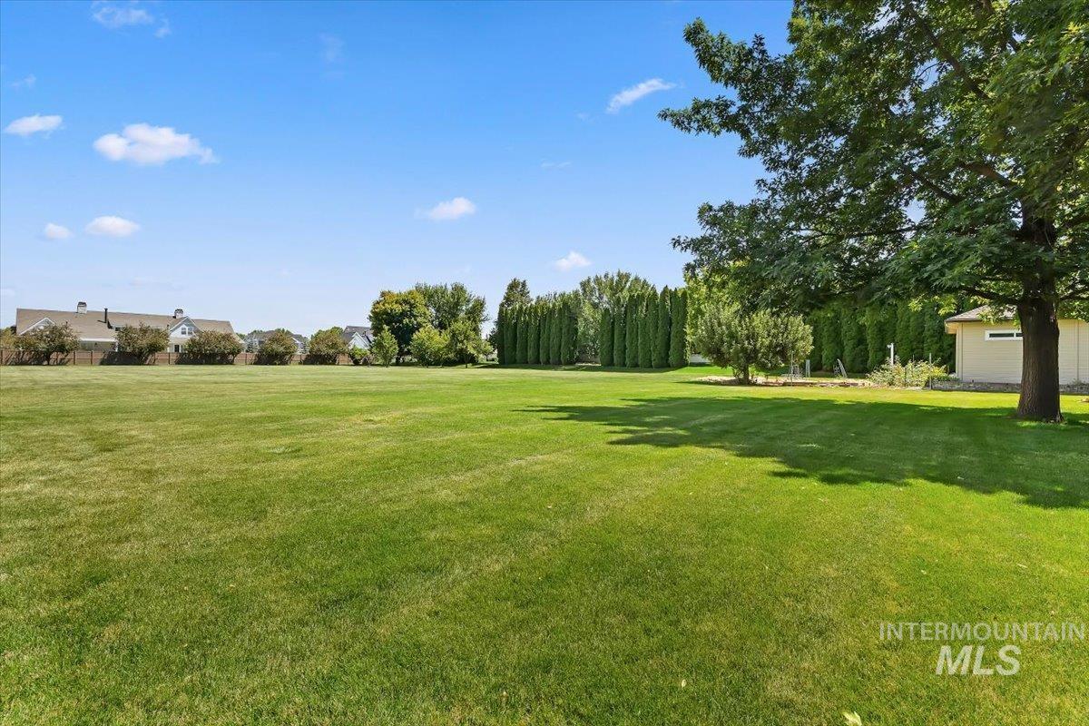 Expansive green lawn with mature trees and a private hedgerow
