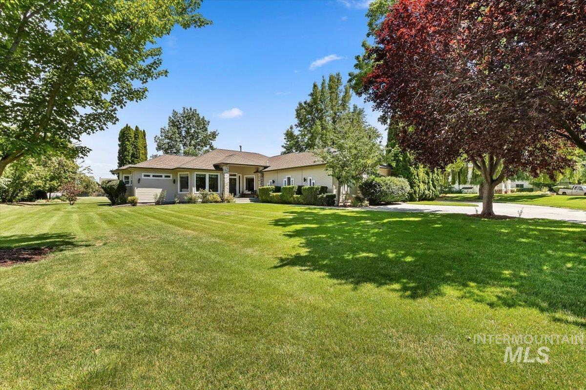 Ranch-style residence featuring a stucco exterior, multiple large windows, and a covered entry