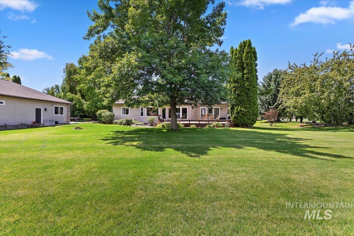 Expansive green lawn with mature trees