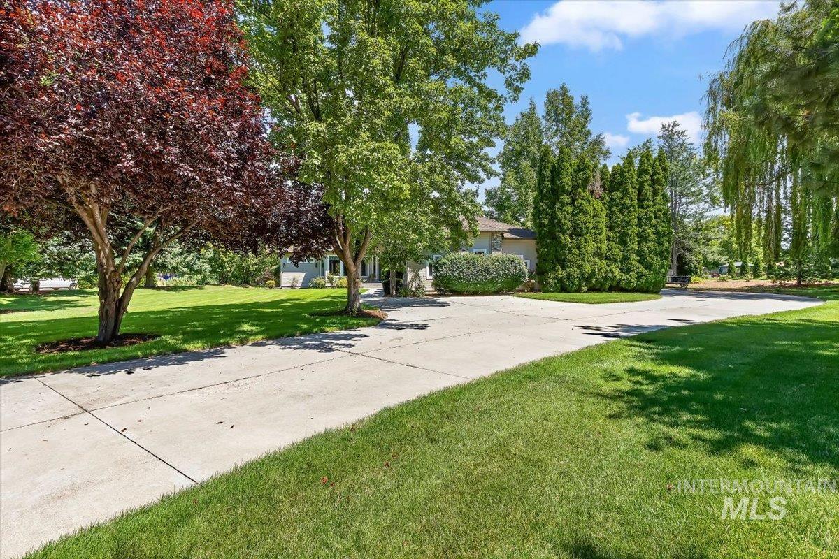 Expansive front yard featuring a concrete driveway, mature trees, manicured lawns, and established landscaping