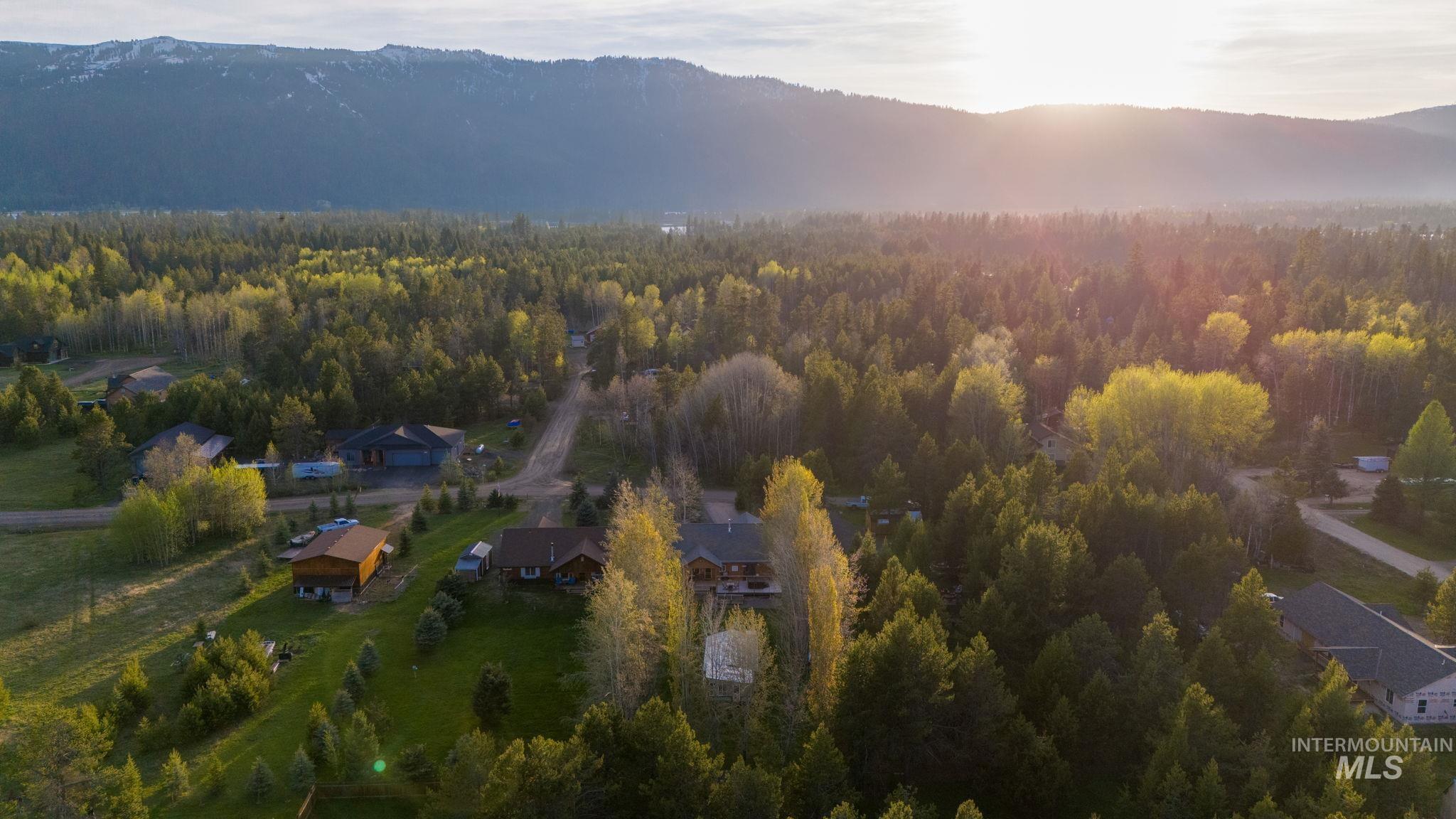 Bird's eye view of mountains and a forest
