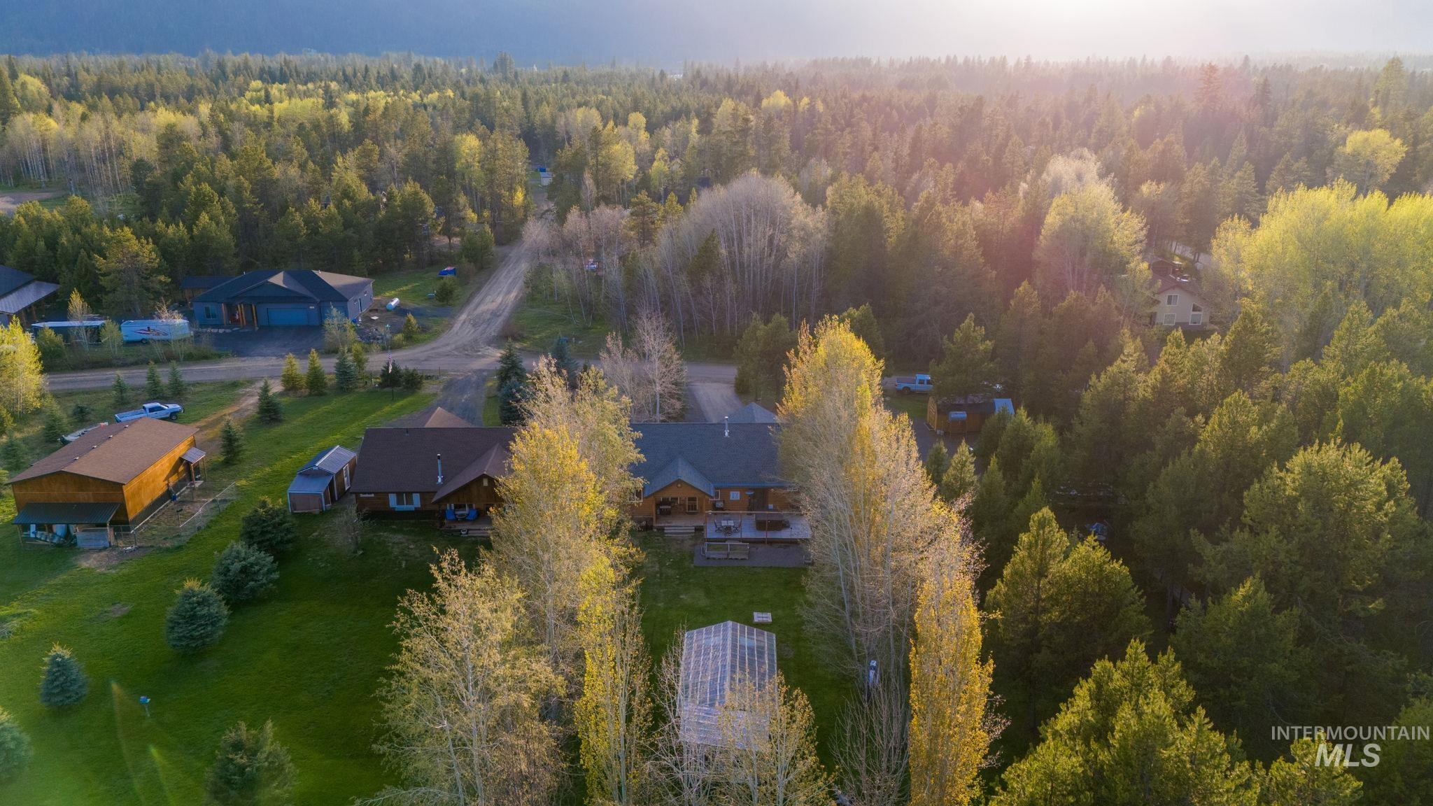 Aerial view of a forest