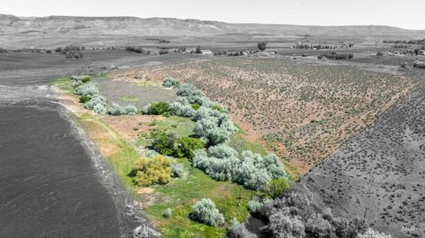 TBD Tbd King Hill ID 83633