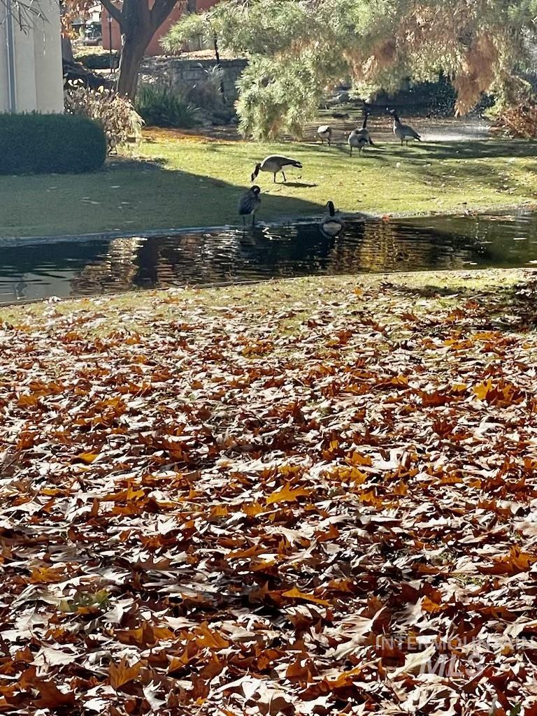 View of home's community featuring a lawn