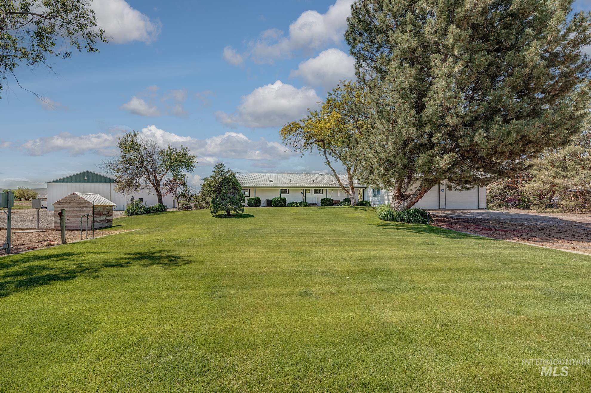 Expansive green lawn with mature trees and a long driveway leading to the main residence
