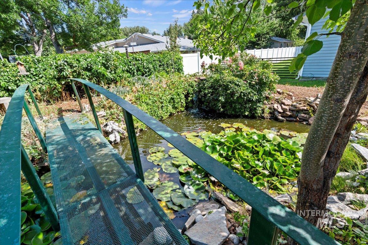 View of small pond