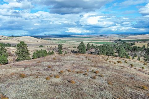 Photo of TBD Over Yonder Road, CottonWood, ID 83522 (MLS # 98951991)