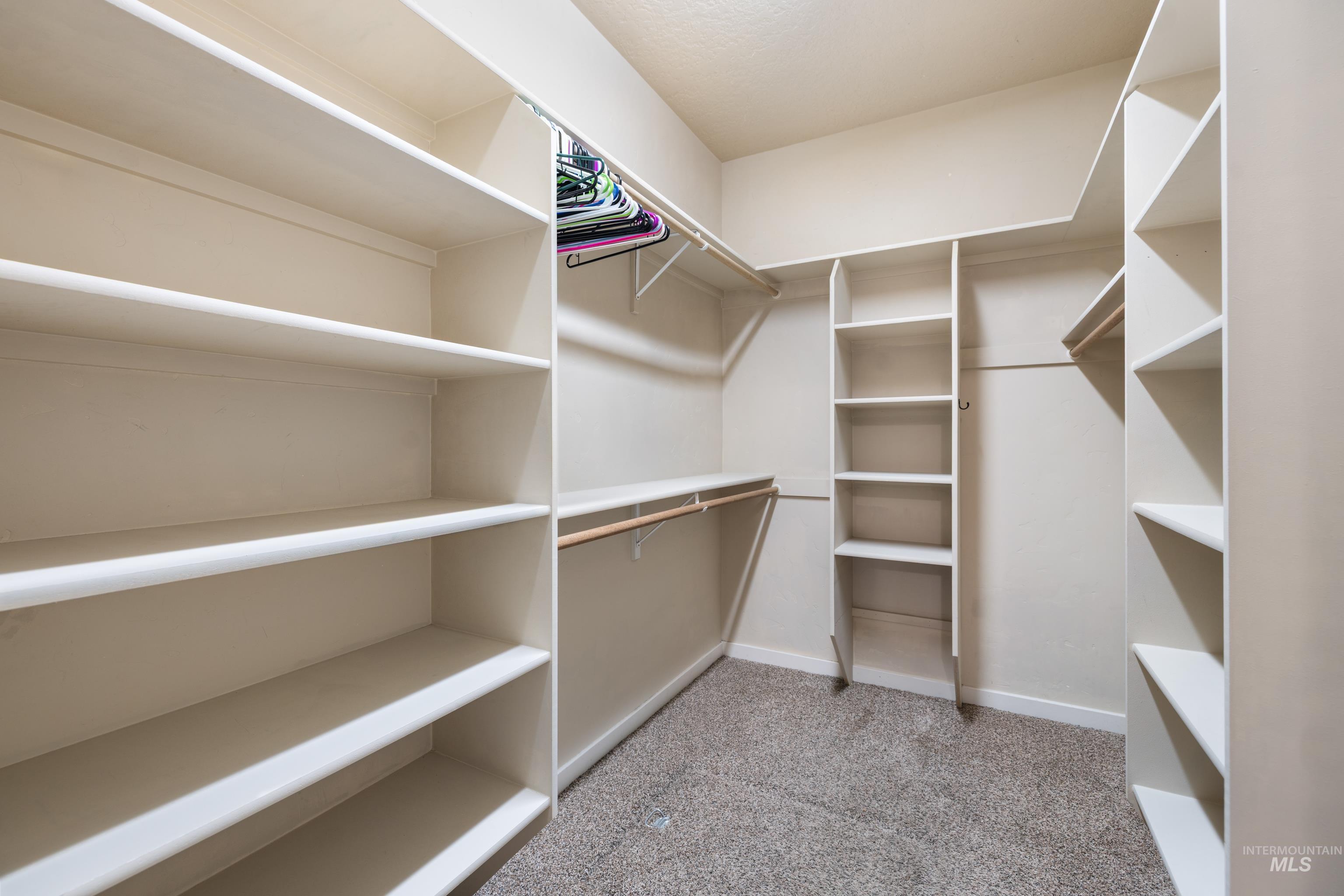 Walk in closet with light colored carpet