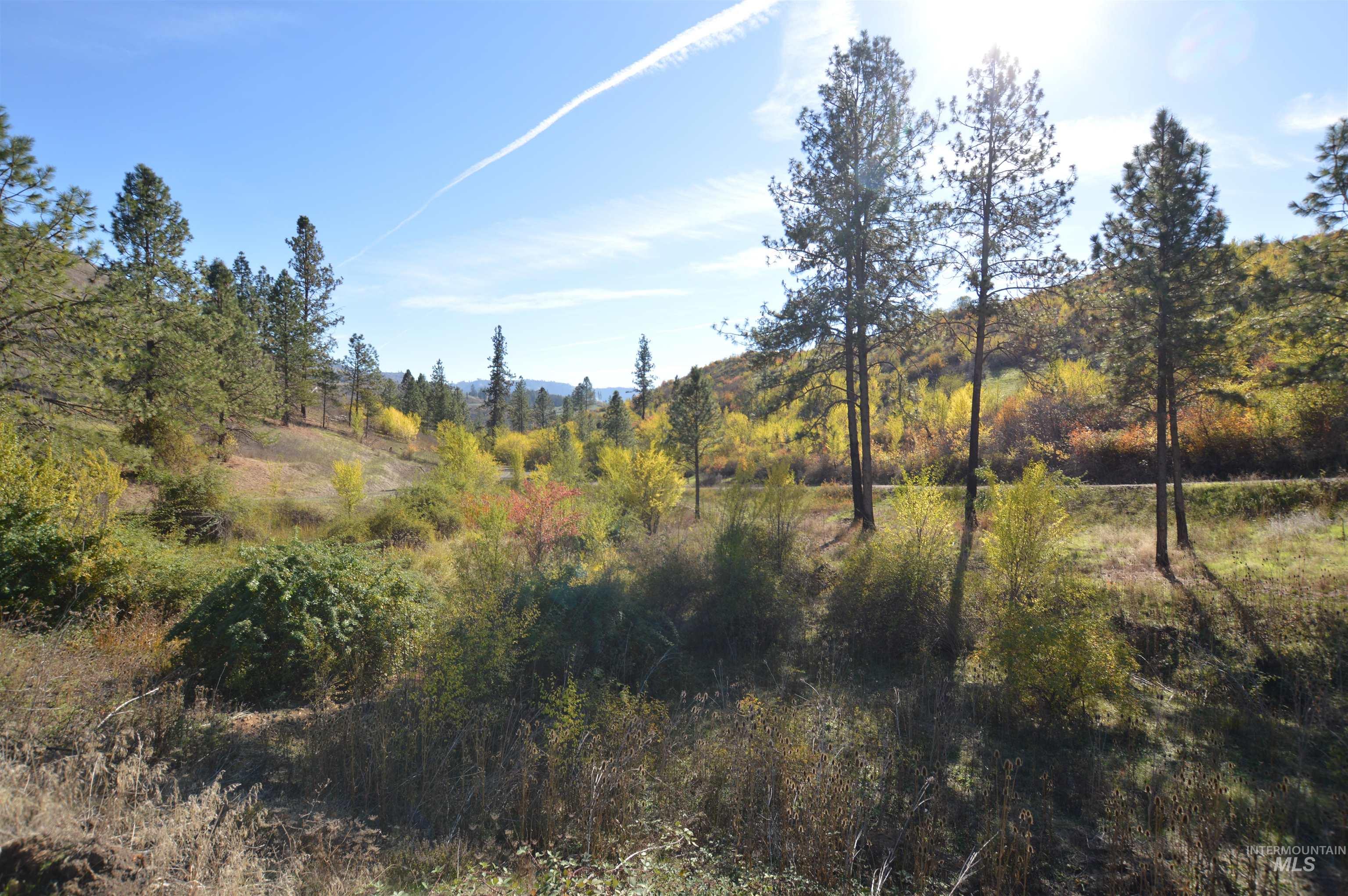 View of undeveloped land featuring a mountainous background