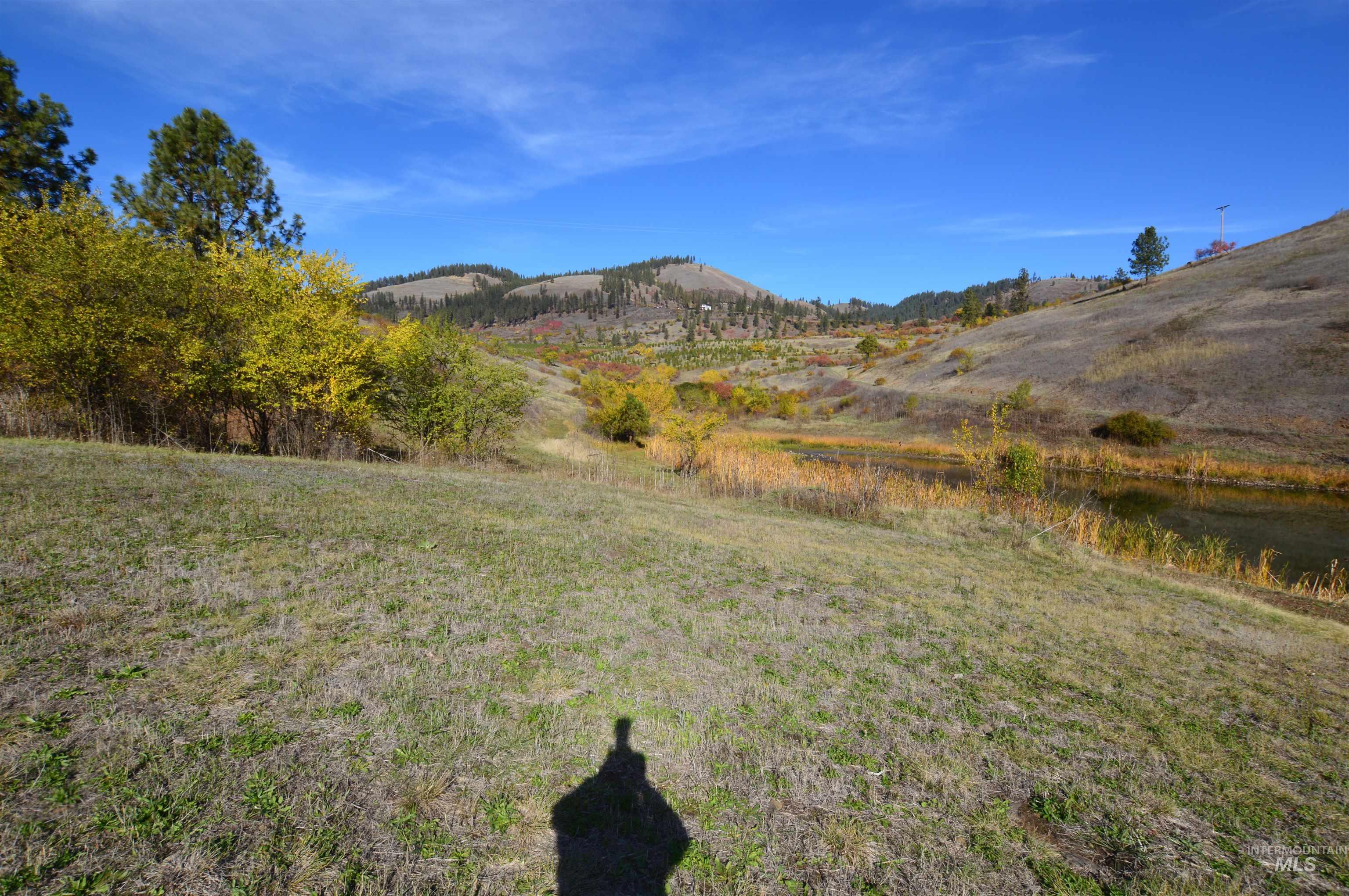 View of yard featuring a mountain view