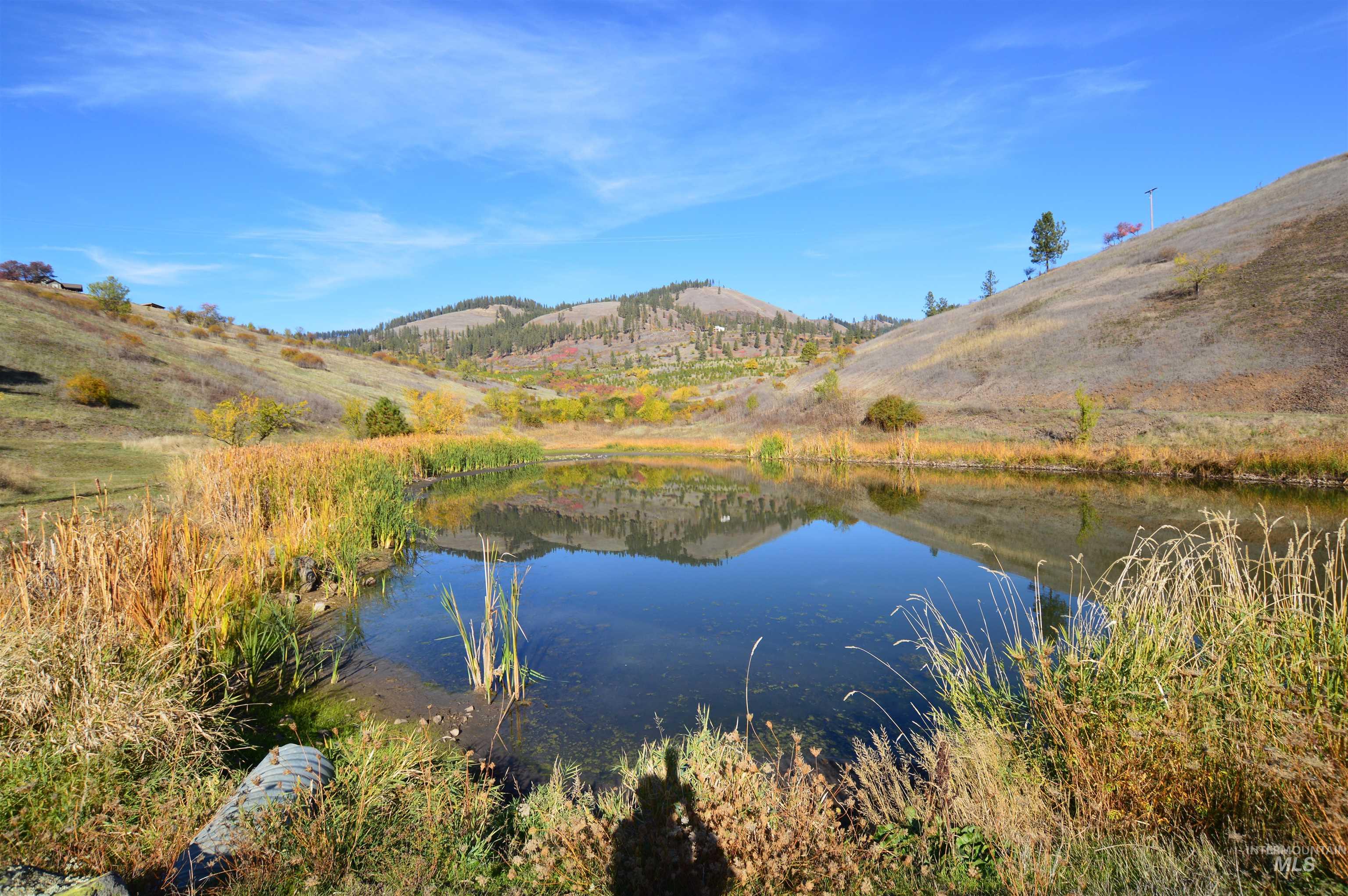 Water view featuring a mountainous background
