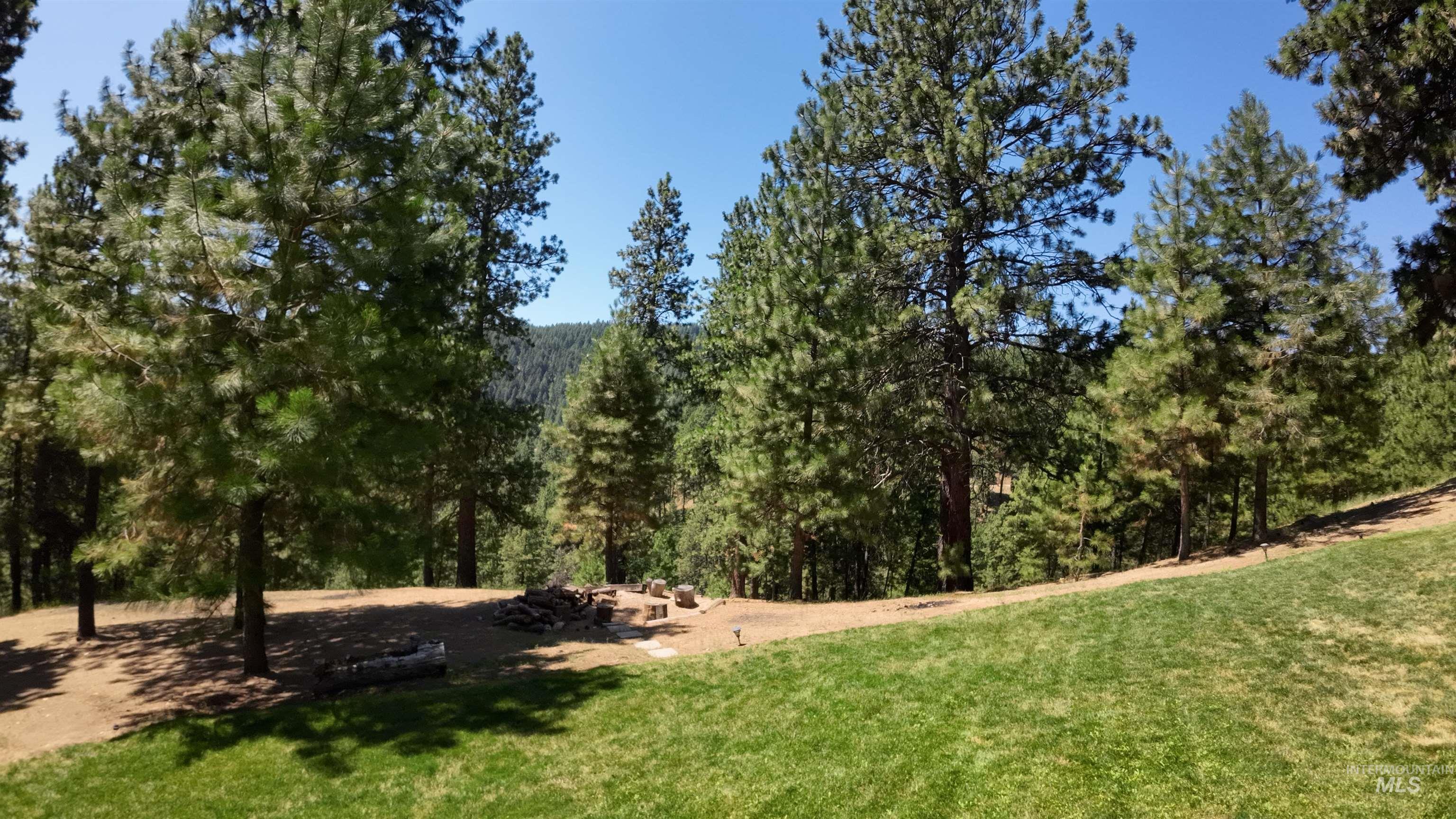 View of green lawn with a wooded view