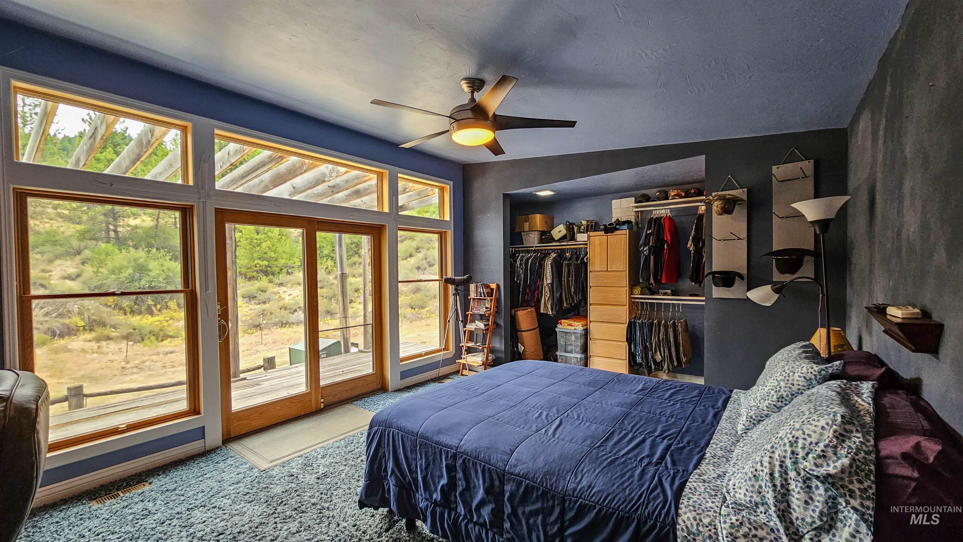 Bedroom with access to exterior, carpet floors, a ceiling fan, and a spacious closet