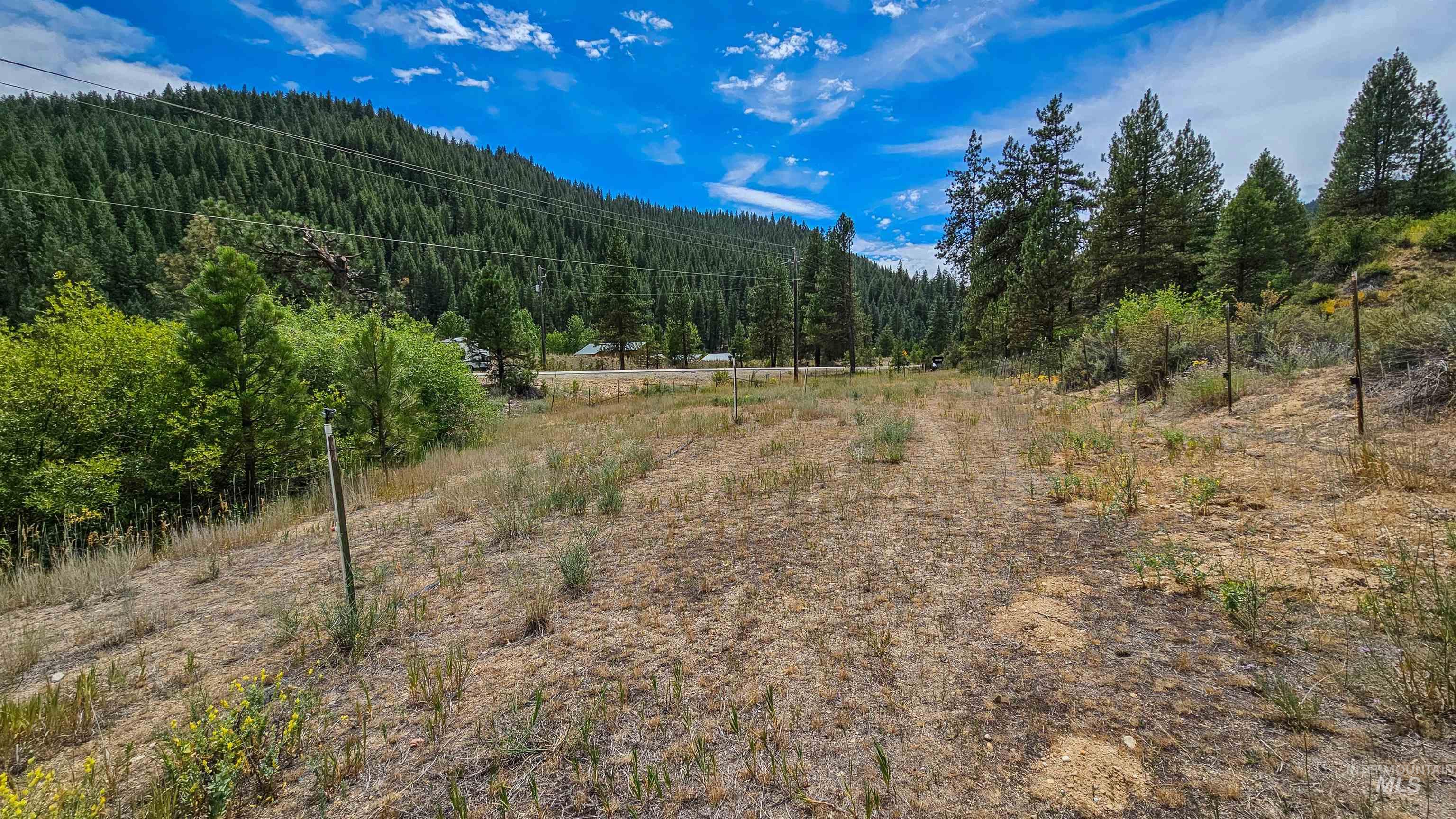 Mountain view with a heavily wooded area