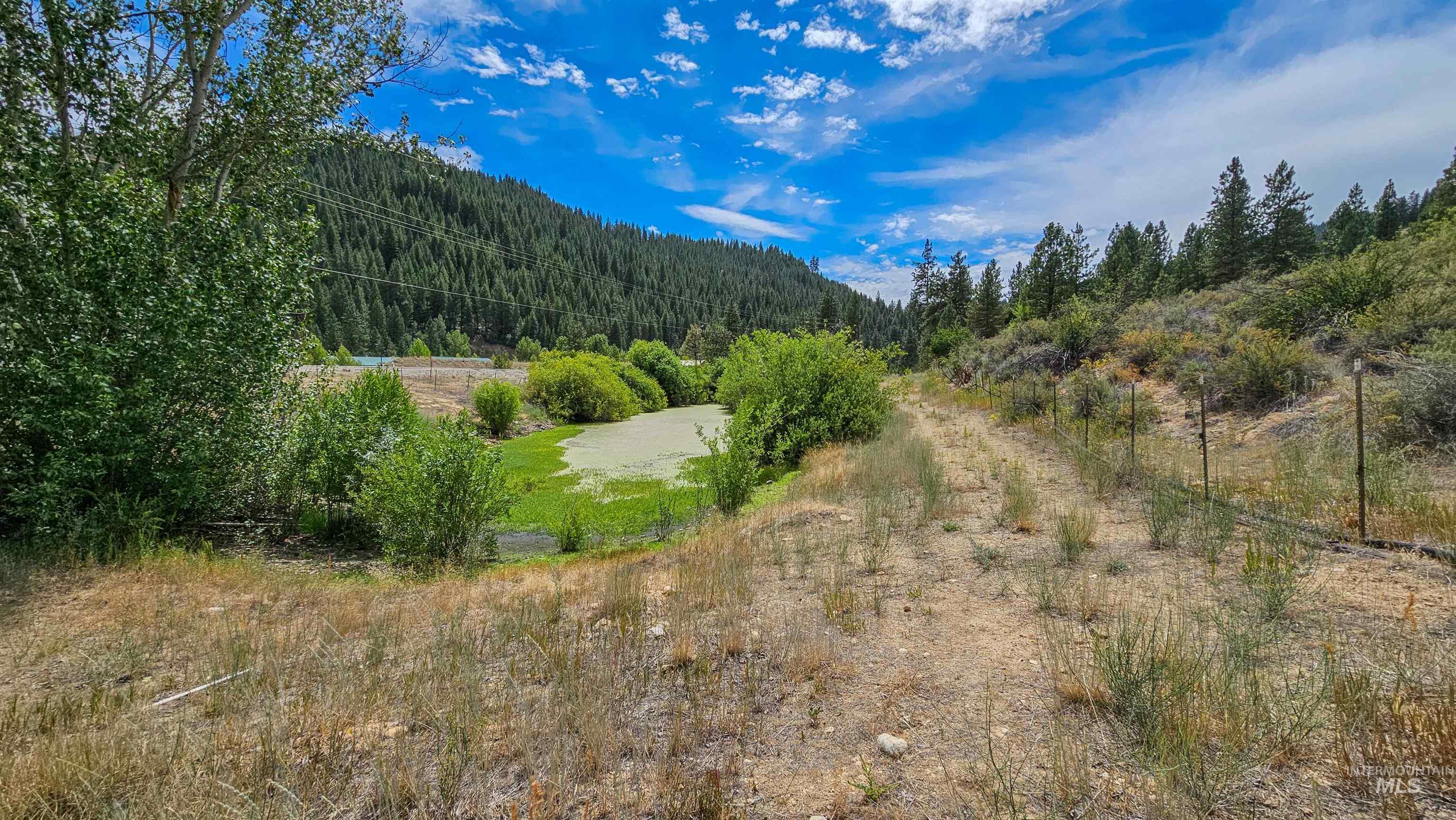 View of mountain backdrop featuring a forest