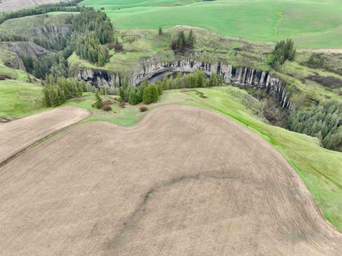 Photo of TBD Younger Rd, Craigmont, ID 83523 (MLS # 98980476)