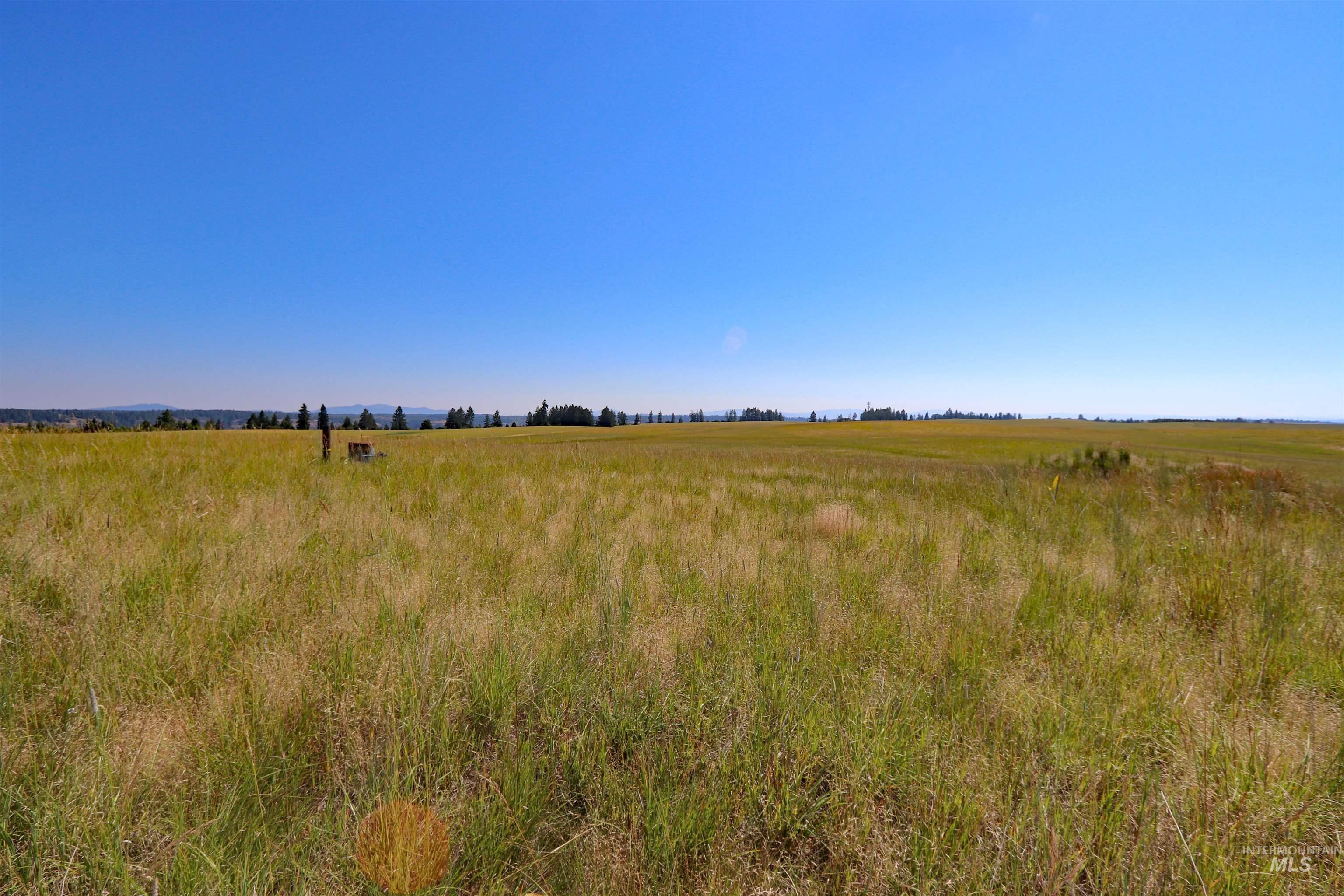 TBD Stuart Road, Parcel B, Orofino, Idaho image 13