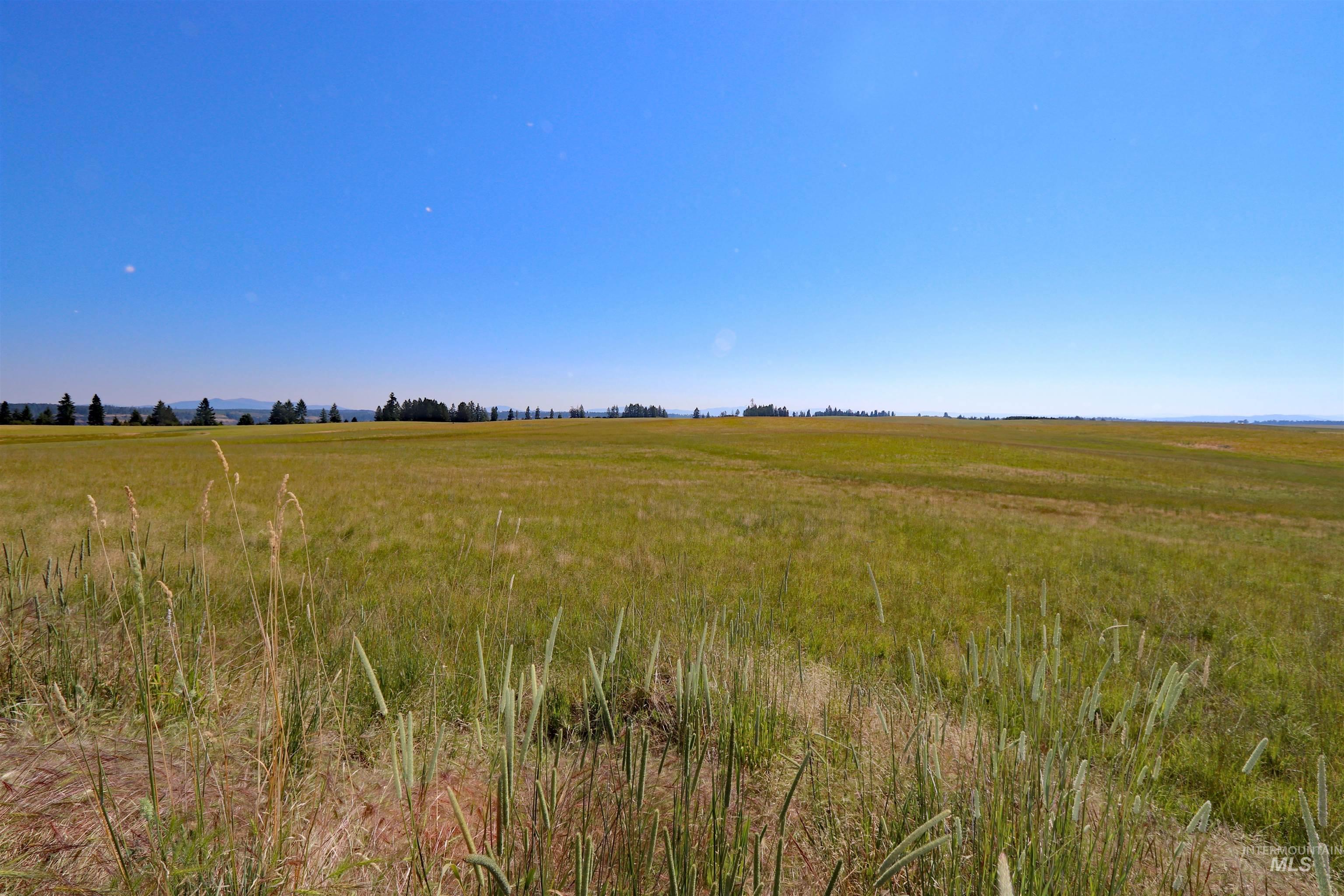 TBD Stuart Road, Parcel B, Orofino, Idaho image 18