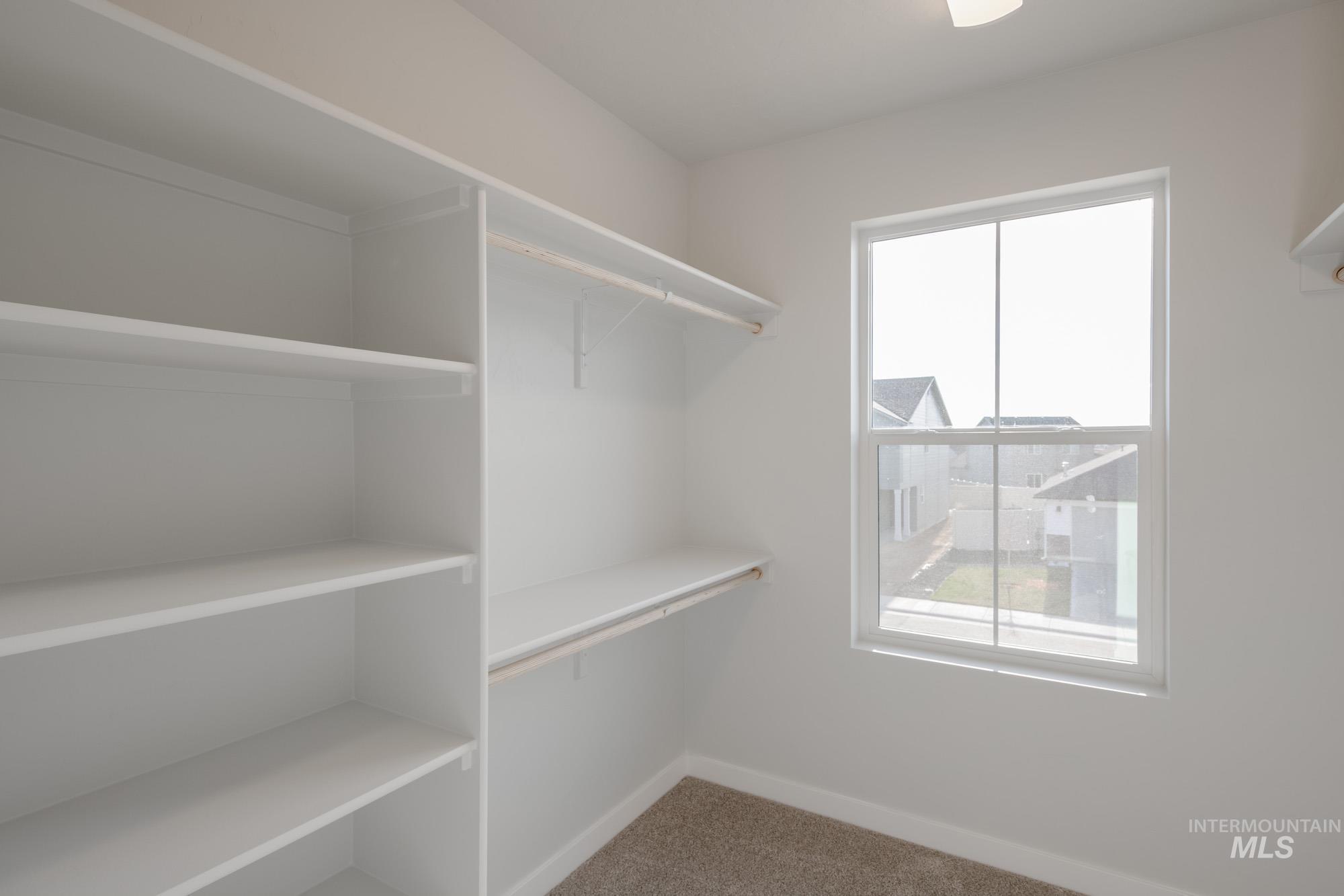 Walk in closet featuring light carpet