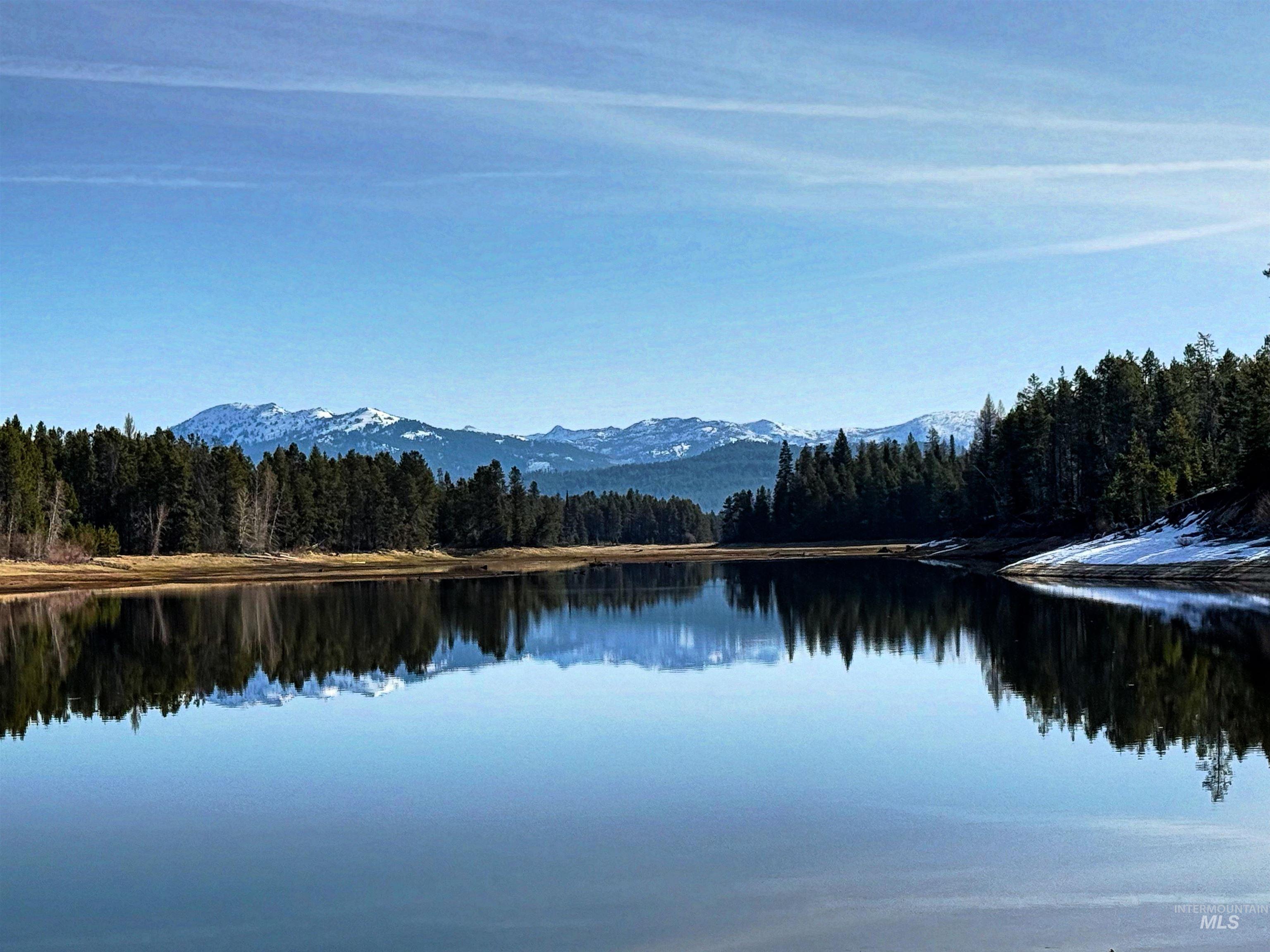 Water view featuring a forest