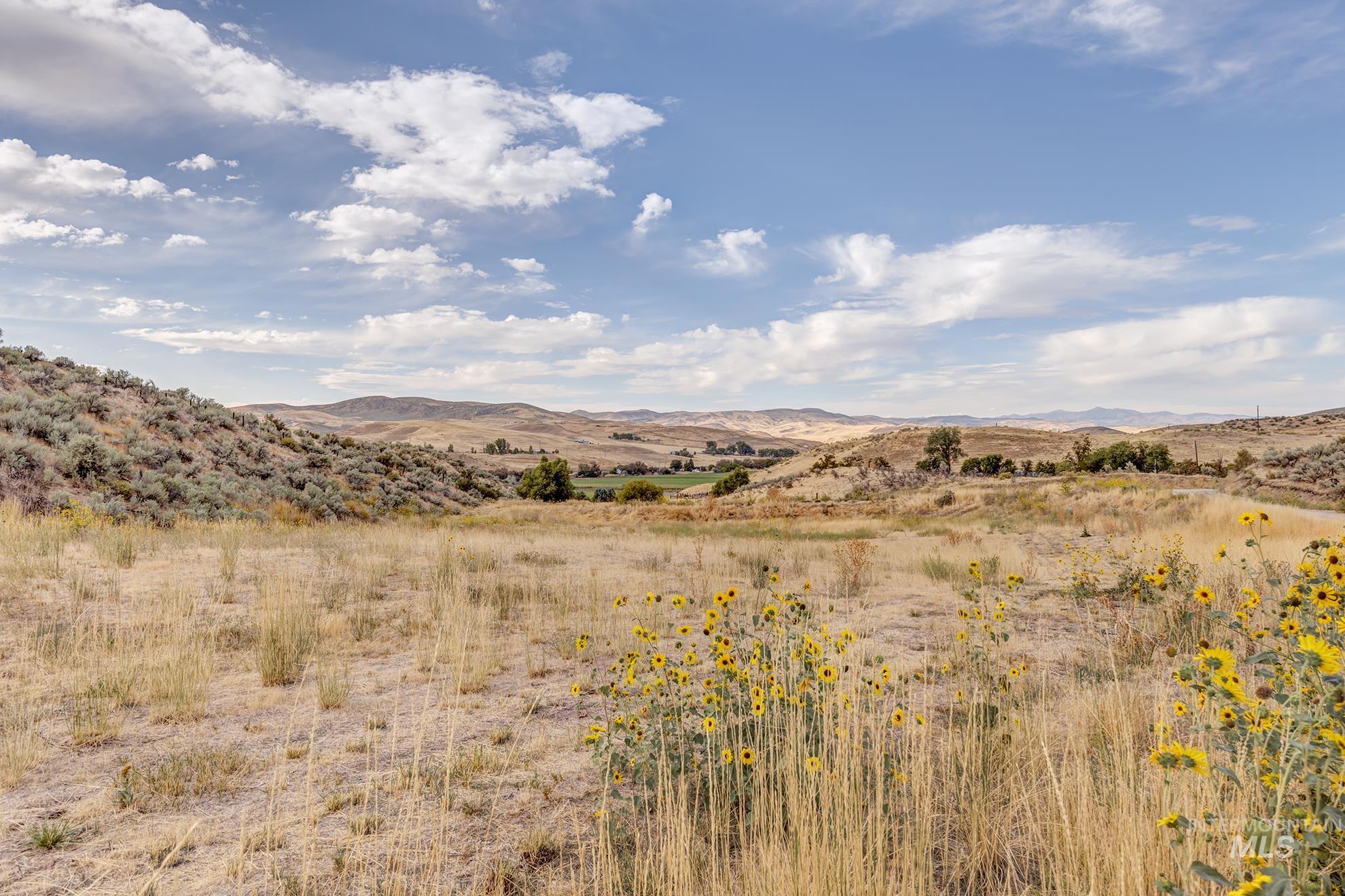 View of mountain background