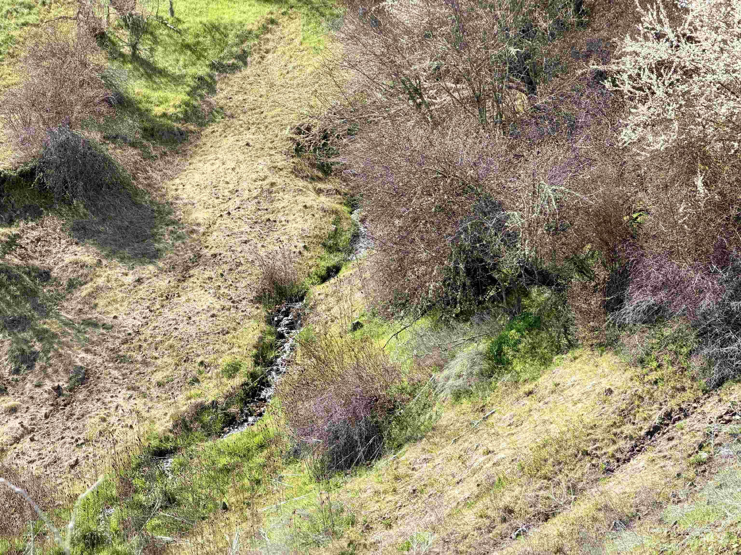 TBD Hidden Canyon Road