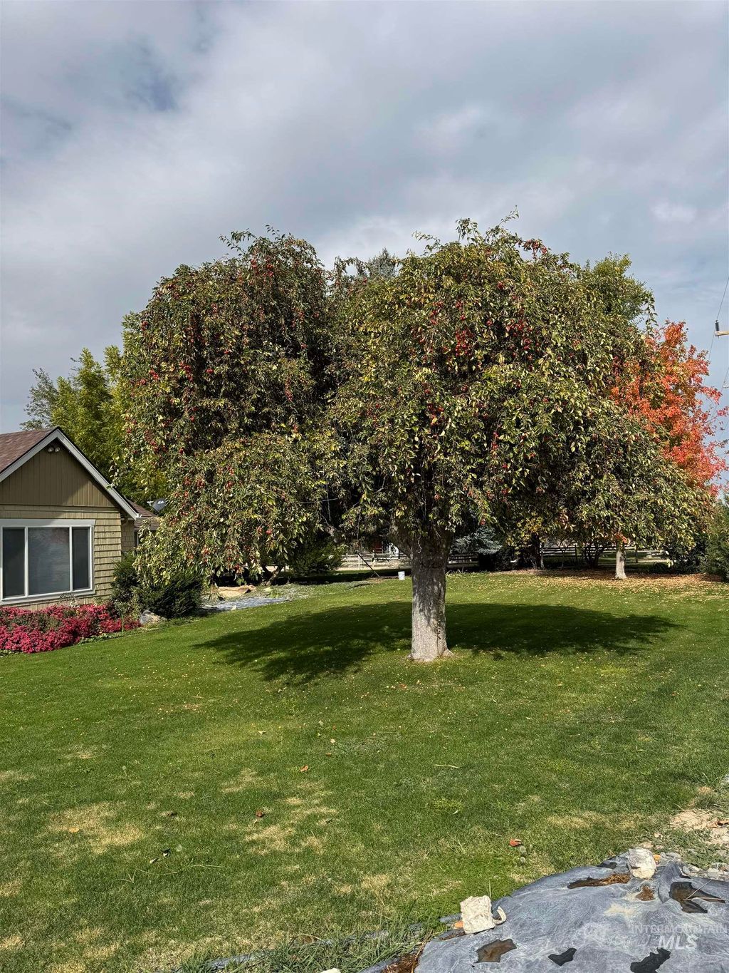 Photo of 9101 S Powerline Rd, Nampa, ID 83686 (MLS # 98964663)