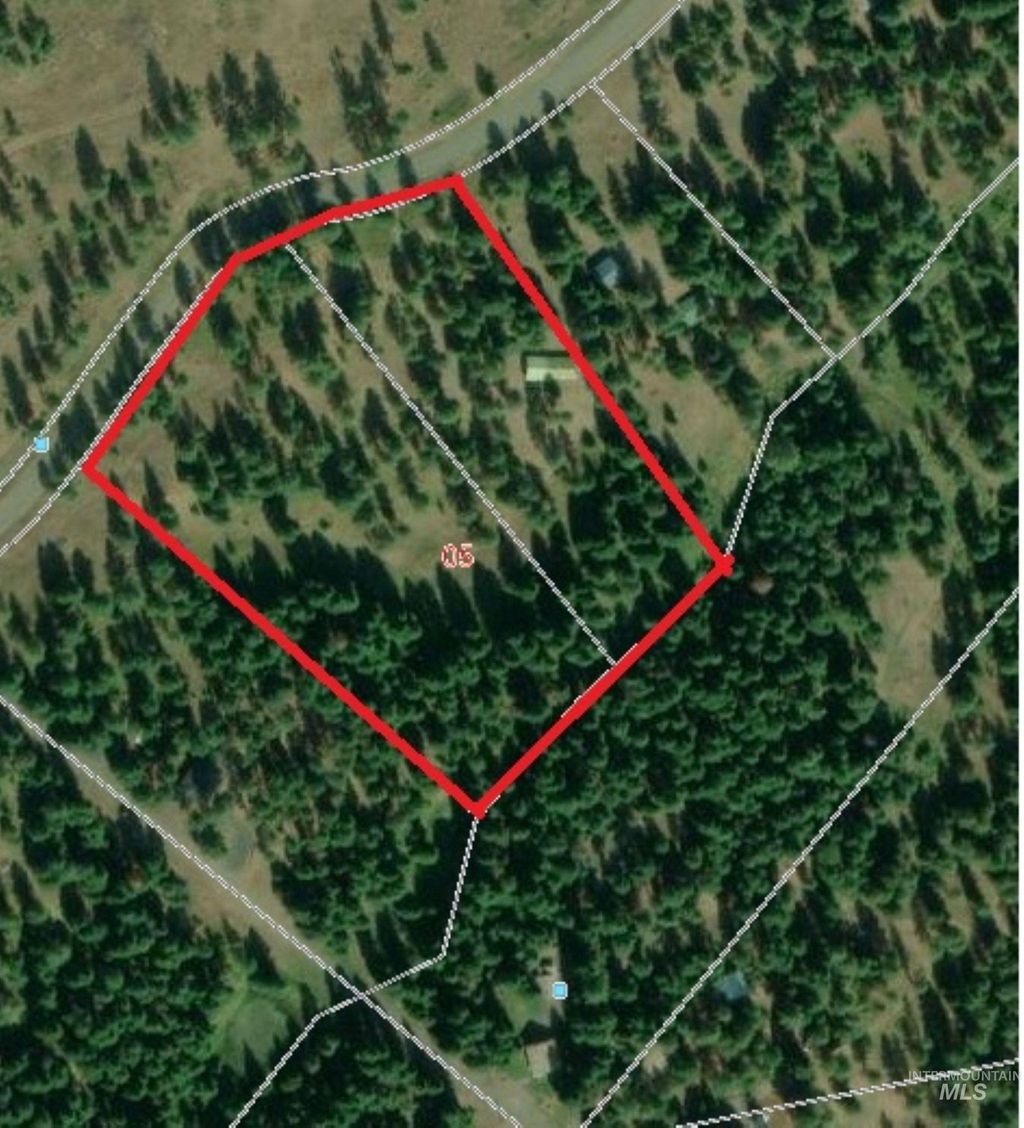 Photo of 3695 W Mountain Rd, Anatone, WA 99401 (MLS # 98982756)