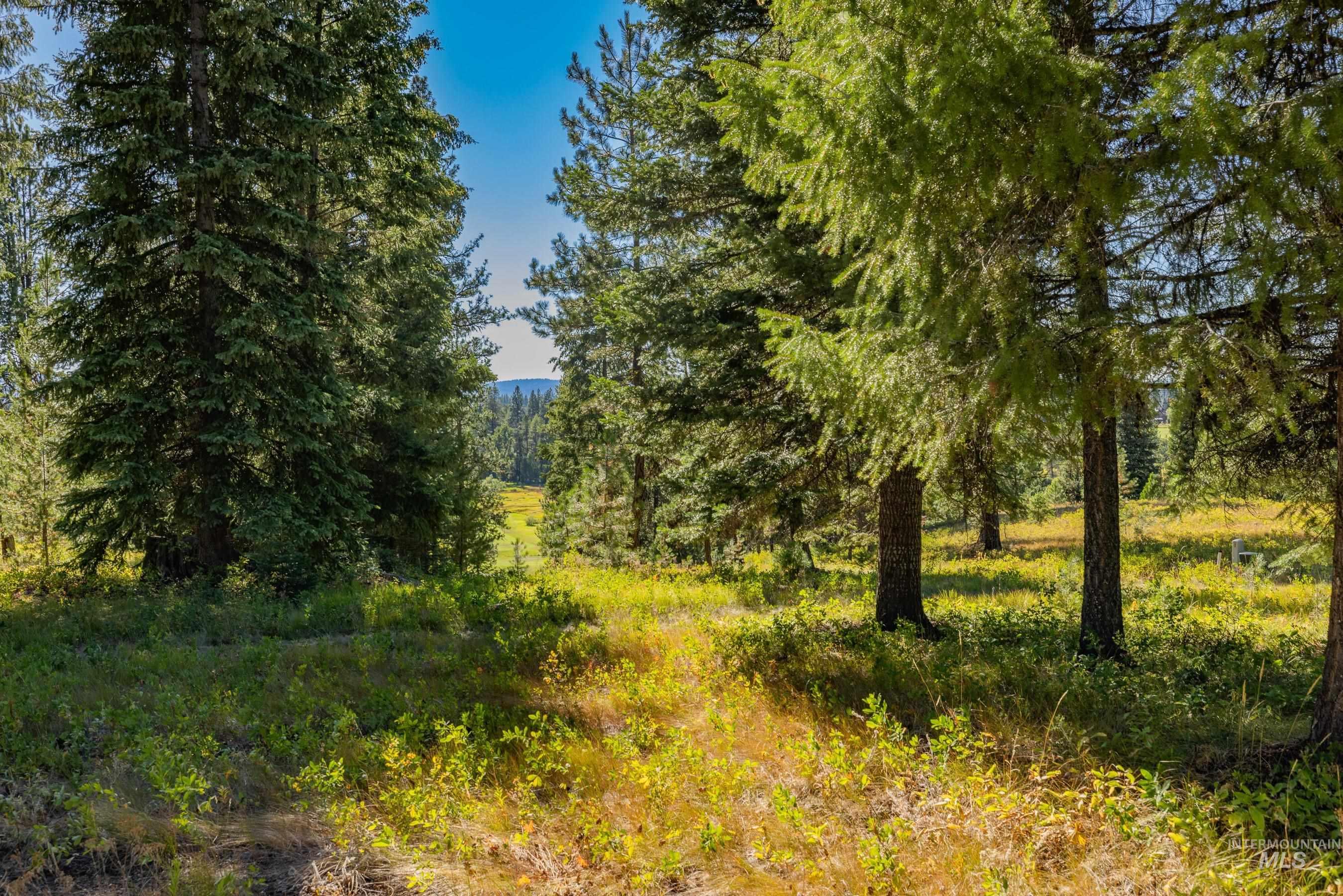 View of local wilderness
