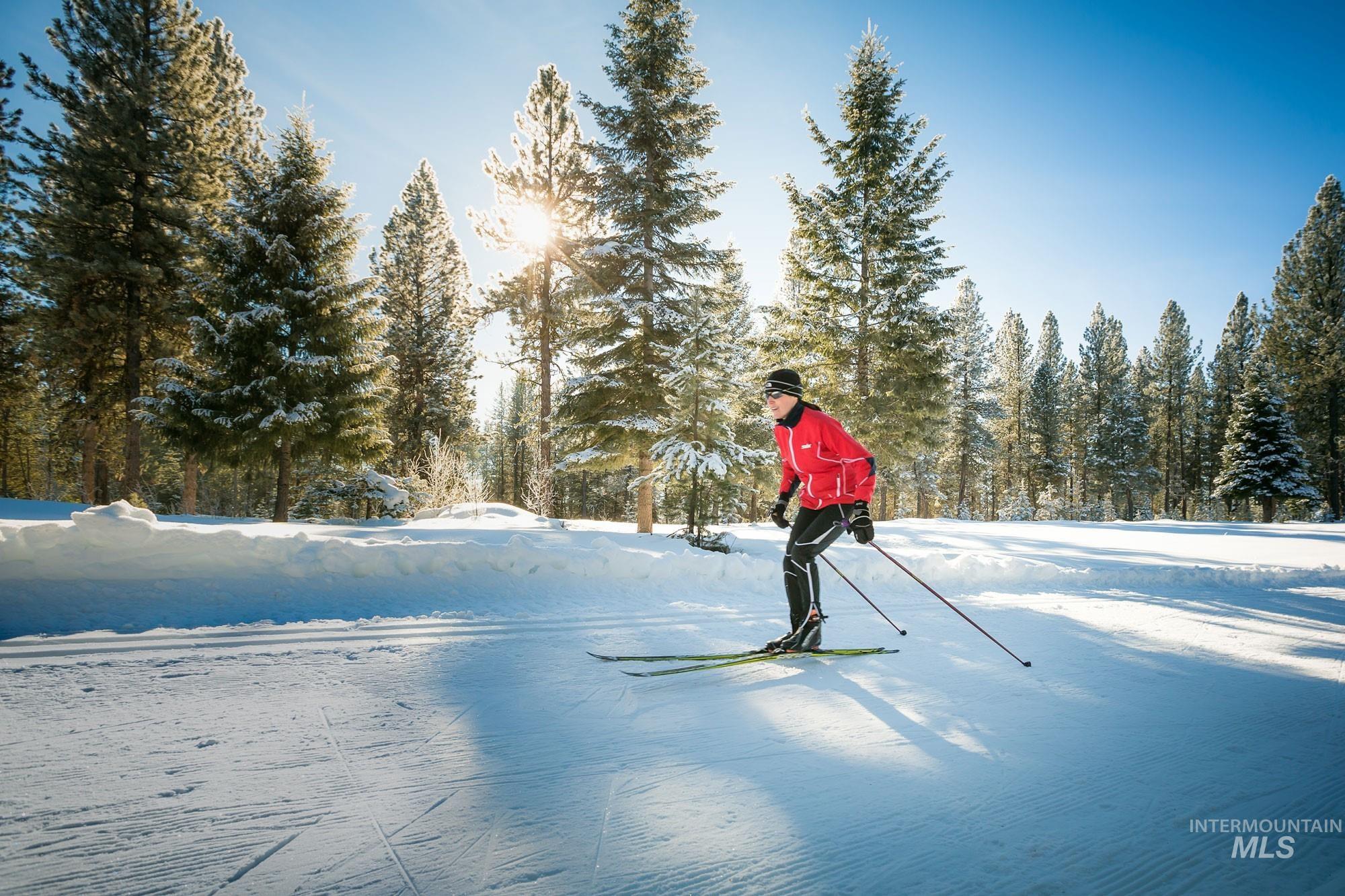 View of Community Nordic Trails