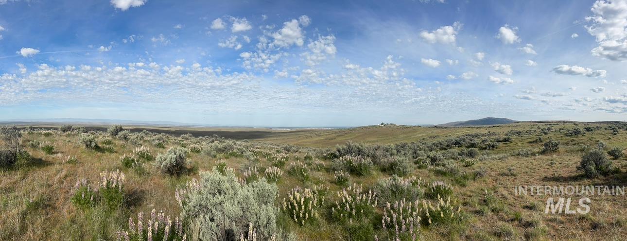 TBD E Blacks Creek Rd