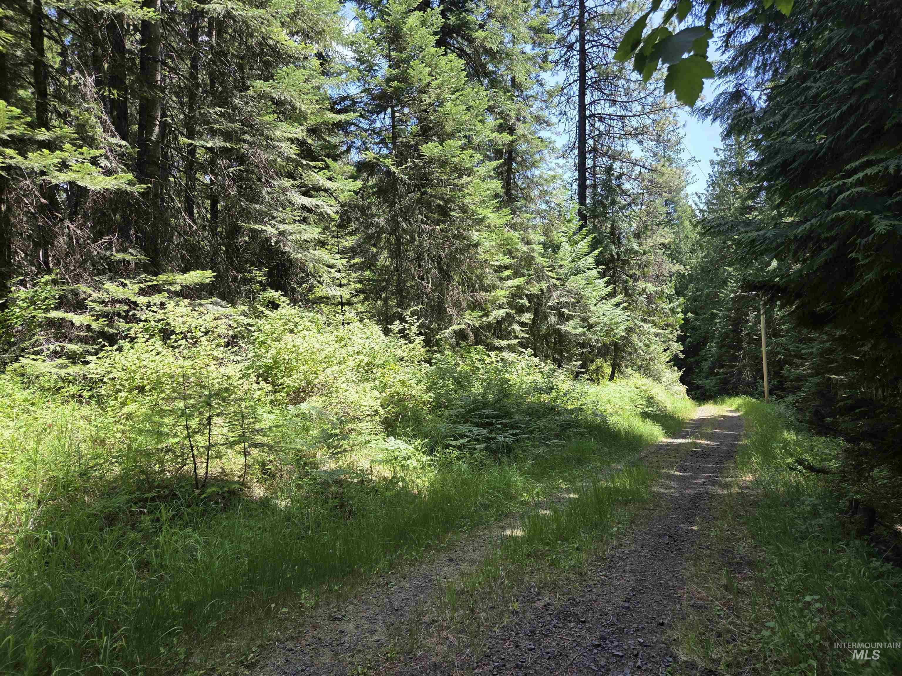 1200 White Pine Flats Rd