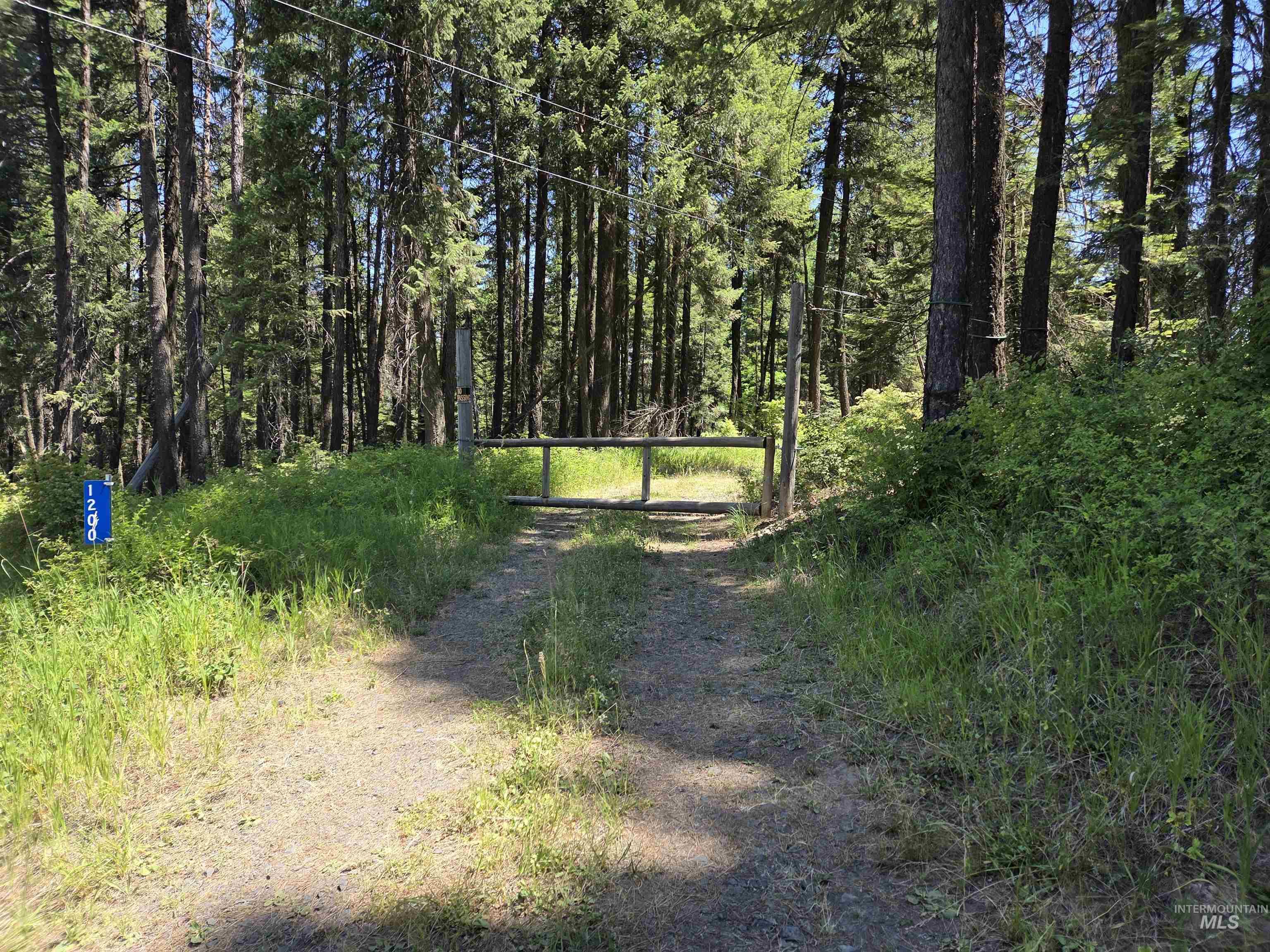 1200 White Pine Flats Rd