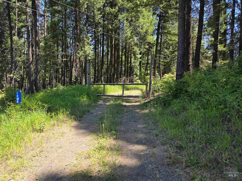 Photo of 1200 White Pine Flats Rd, Troy, ID 83871 (MLS # 98964379)