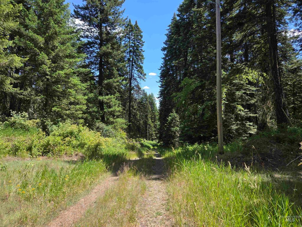 Photo of 1200 White Pine Flats Rd, Troy, ID 83871 (MLS # 98964379)