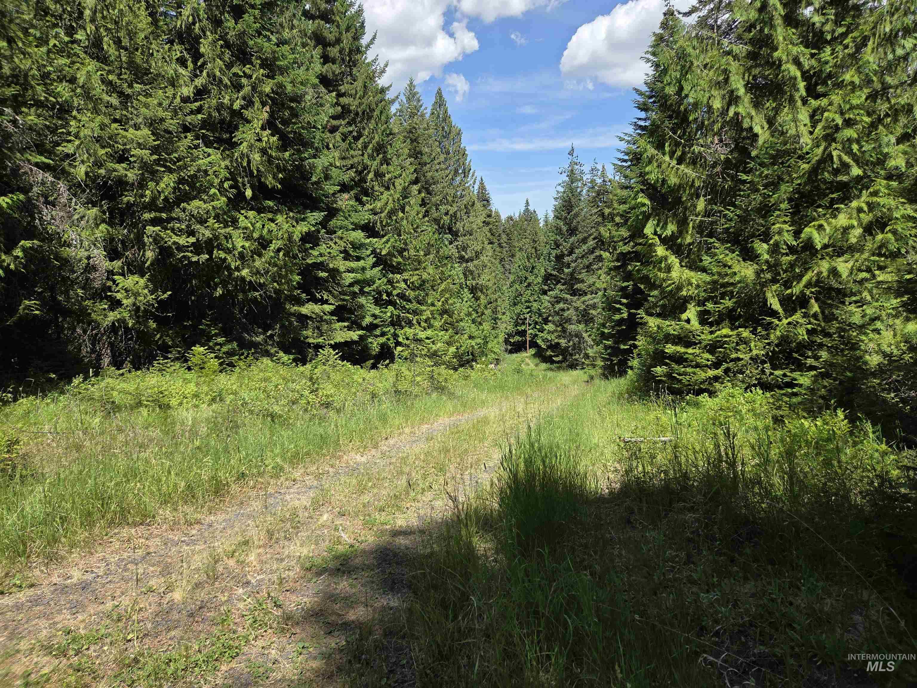 1200 White Pine Flats Rd