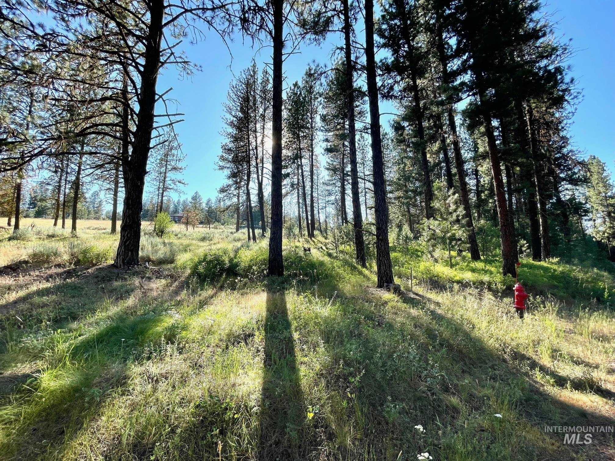 TBD Hot Springs Rd, New Meadows, Idaho image 2