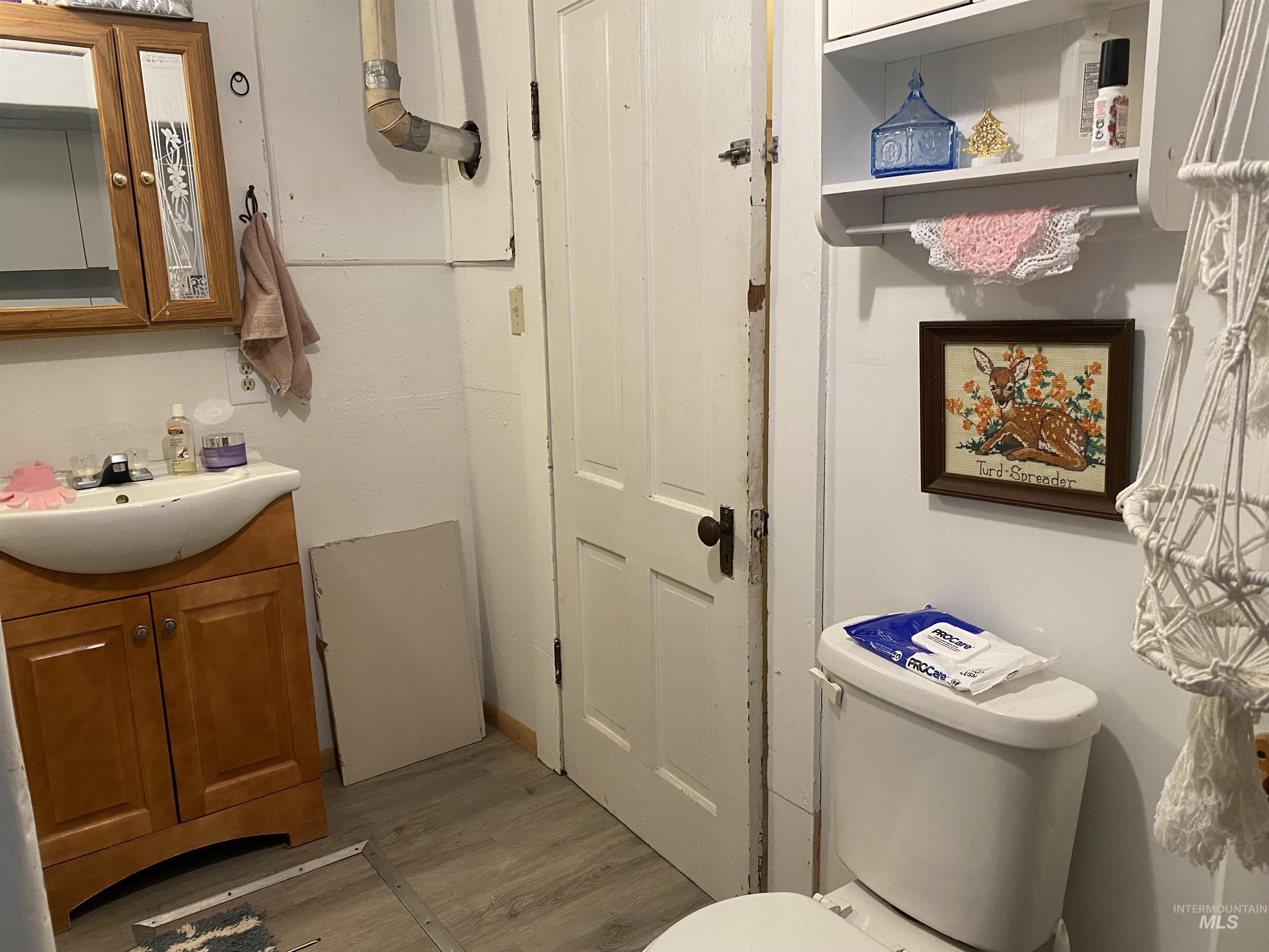 Bathroom with wood finished floors and vanity