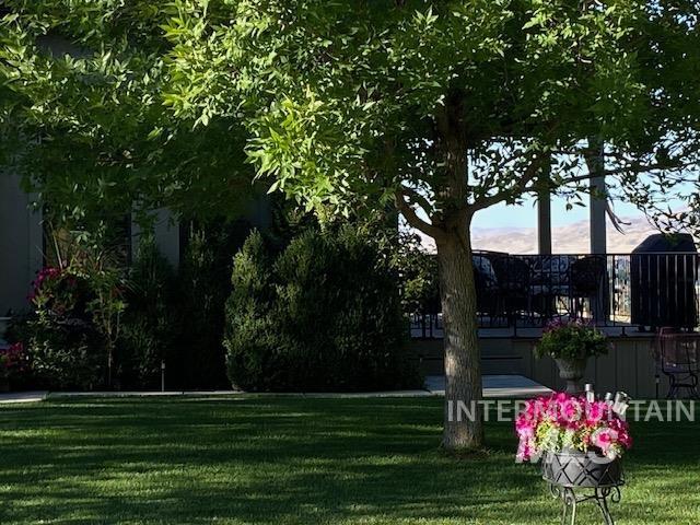 View of home's community with a lawn