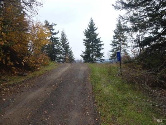 1762 TRANQUIL LN # 4, OROFINO, ID 83544 - Image 5e3554a840bcb5a45cfe6c6c02b72f62/1027203704