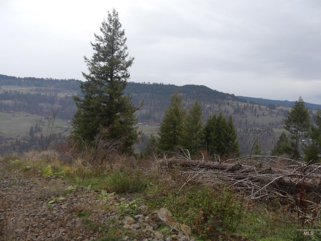 Photo of 1762 Tranquil Lane (#4), Orofino, ID 83544 (MLS # 98968003)