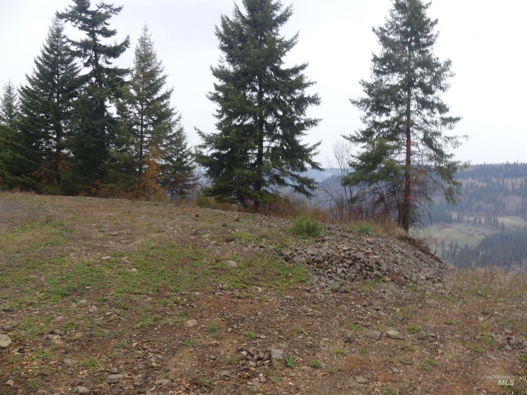 Photo of 1762 Tranquil Lane (#4), Orofino, ID 83544 (MLS # 98968003)