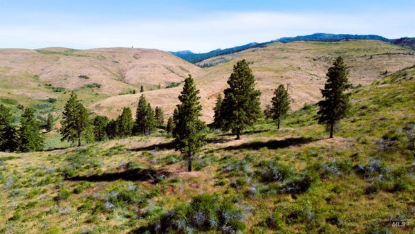 ADVENT GULCH RD, CAMBRIDGE, ID 83610 - Image 5e66d00a91c9dec5930cea511c991d38/2150736715