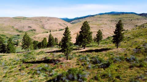 Photo of TBD Advent Gulch Rd, Cambridge, ID 83610 (MLS # 98990738)