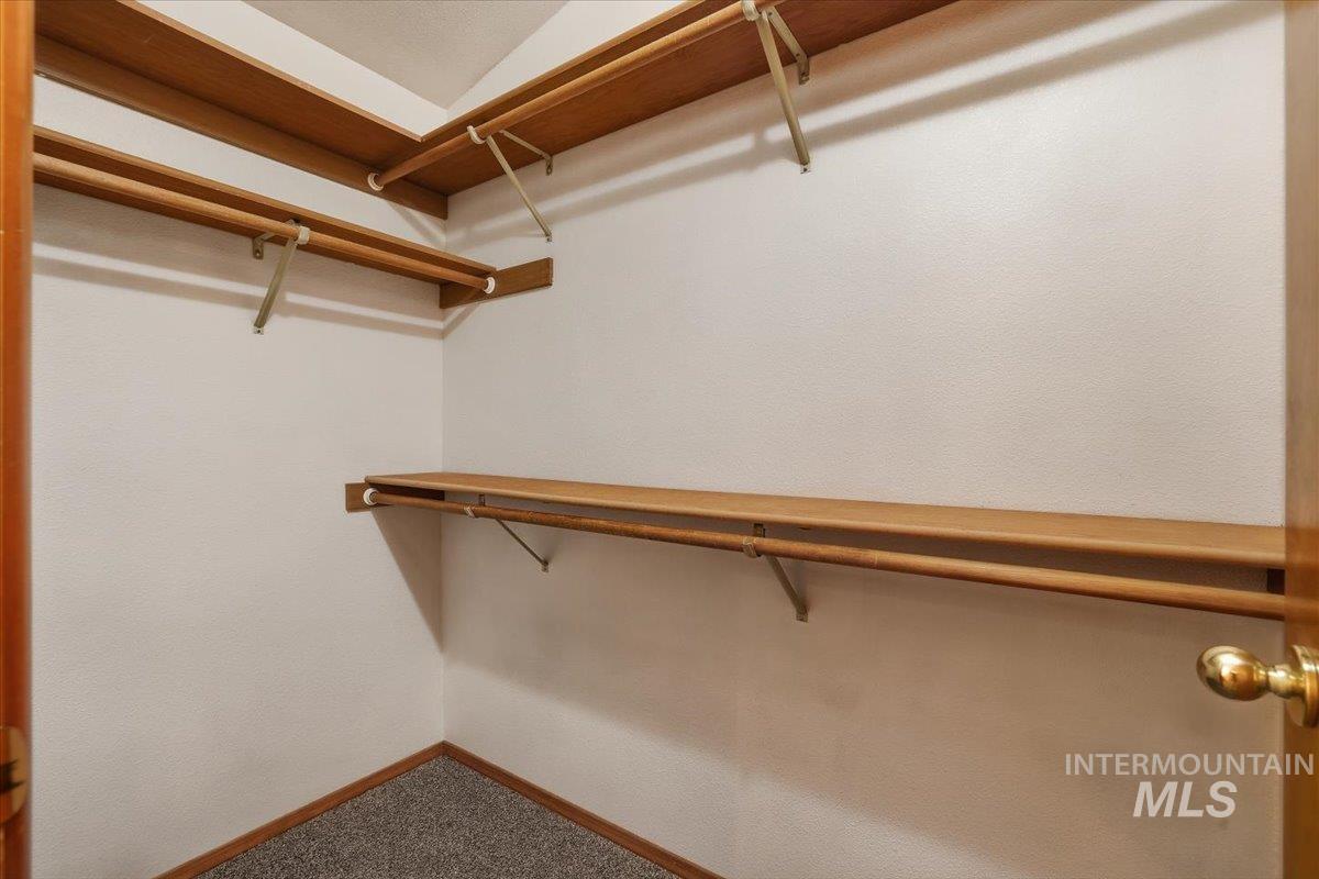 Walk in closet with carpet flooring