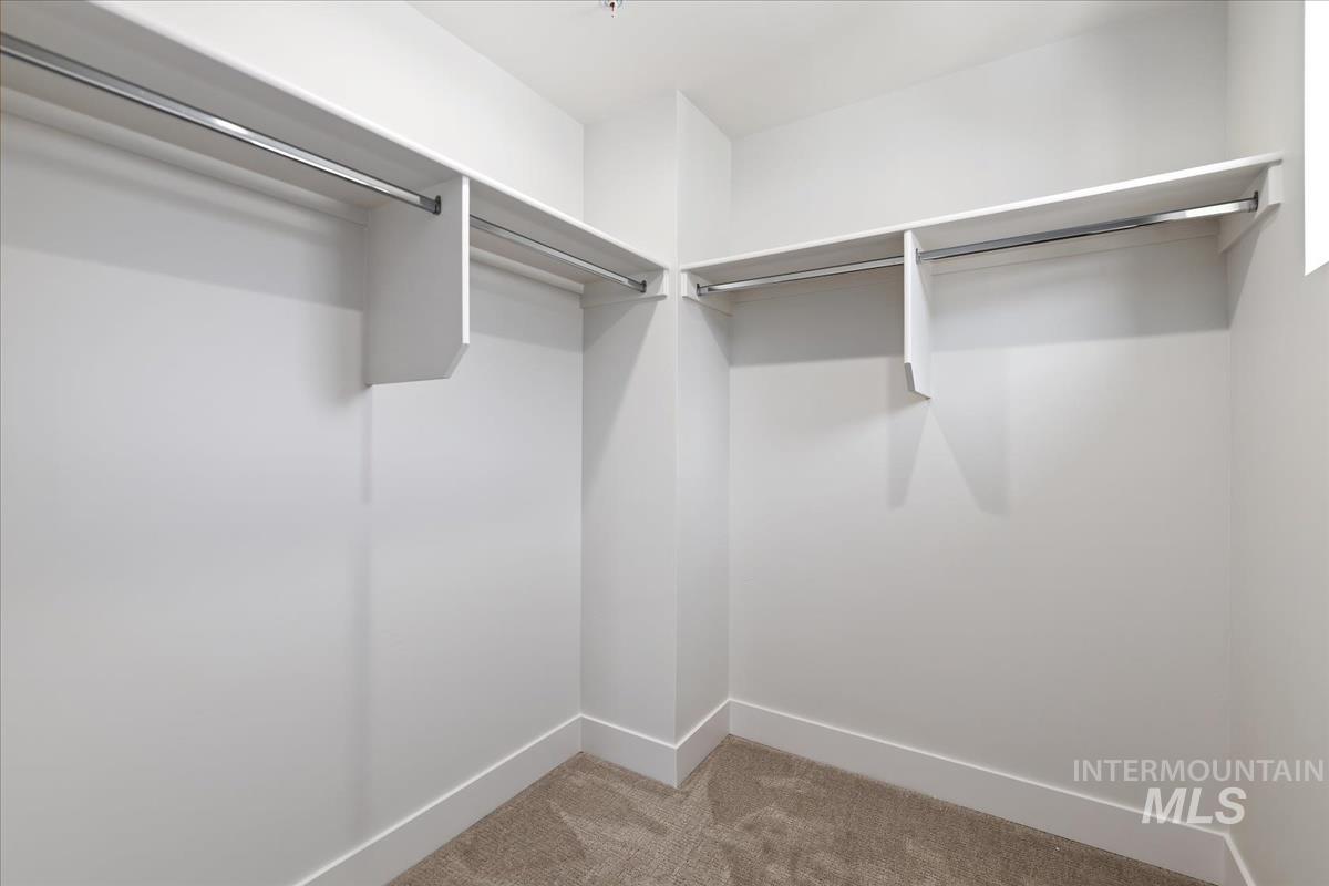 Spacious closet with carpet floors