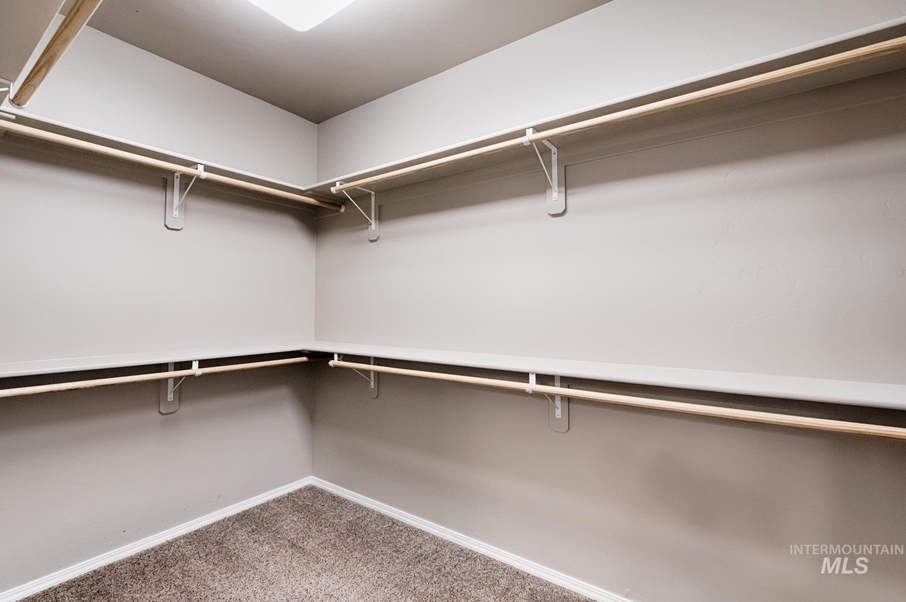 Walk in closet with light colored carpet